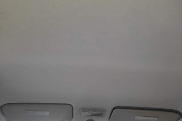 Used Suzuki Swift 2013 1.5L Automatic 20th Anniversary Limited Edition Headliner