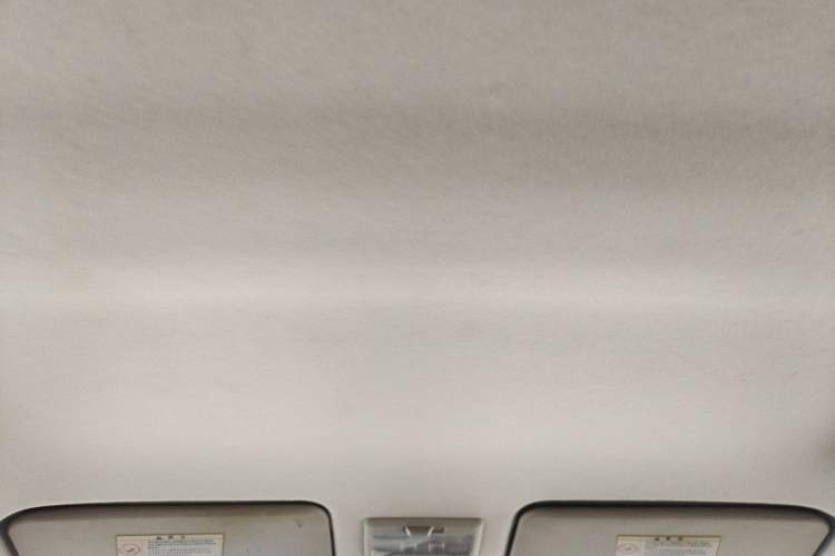 Used Suzuki Swift 2013 1.5L Automatic 20th Anniversary Limited Edition Headliner