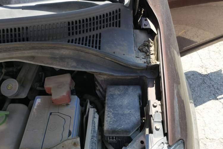 Used Suzuki Swift 2013 1.5L Automatic Standard Edition Engine Bay Left