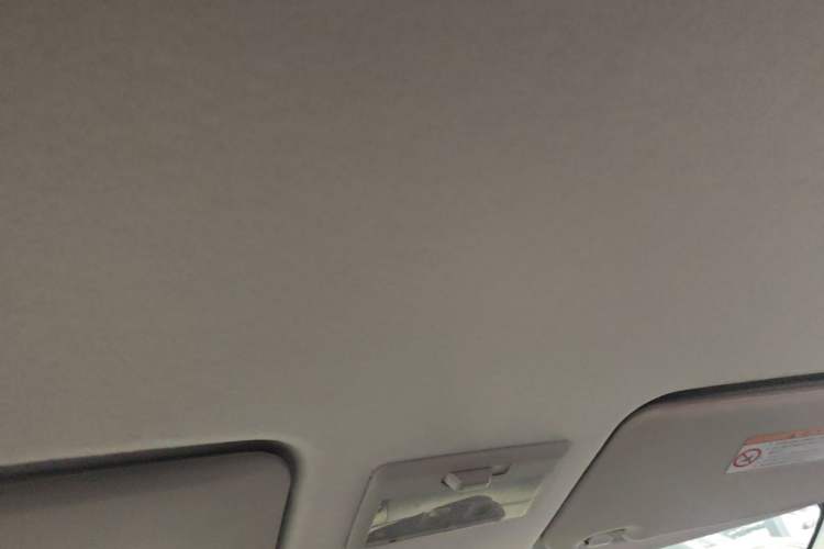Used Suzuki Swift 2013 1.5L Manual 20th Anniversary Limited Edition Headliner
