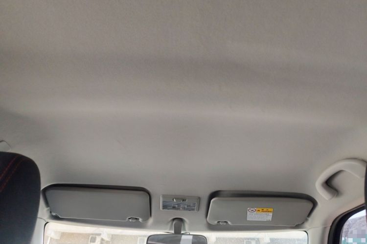 Used Suzuki Swift 2013 1.5L Automatic 20th Anniversary Limited Edition Headliner