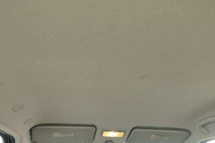 Used Suzuki Swift 2013 1.5L Automatic 20th Anniversary Limited Edition Headliner