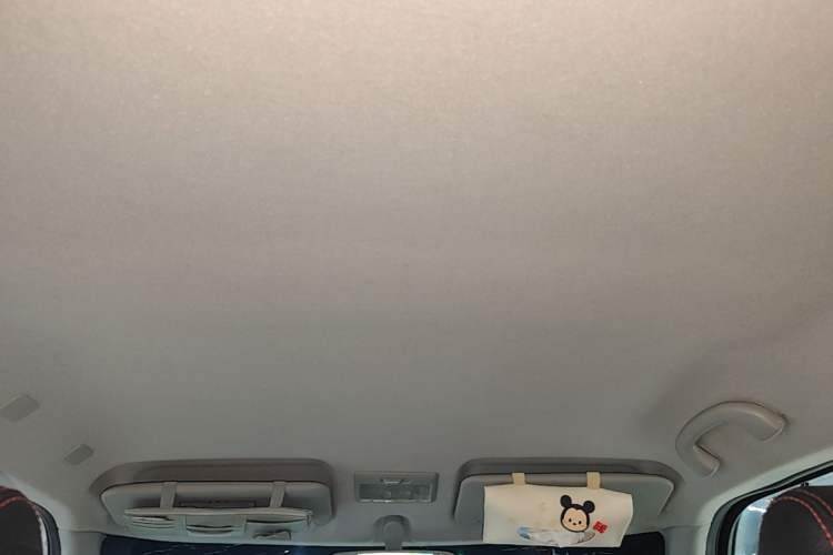Used Suzuki Swift 2013 1.5L Automatic 20th Anniversary Limited Edition Headliner