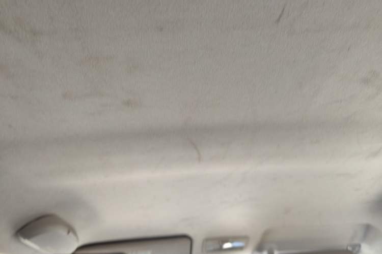 Used Suzuki Swift 2013 1.5L Manual Standard Edition Headliner