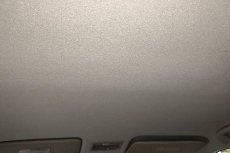 Used Suzuki Swift 2014 1.5L Automatic Fashion Edition Headliner