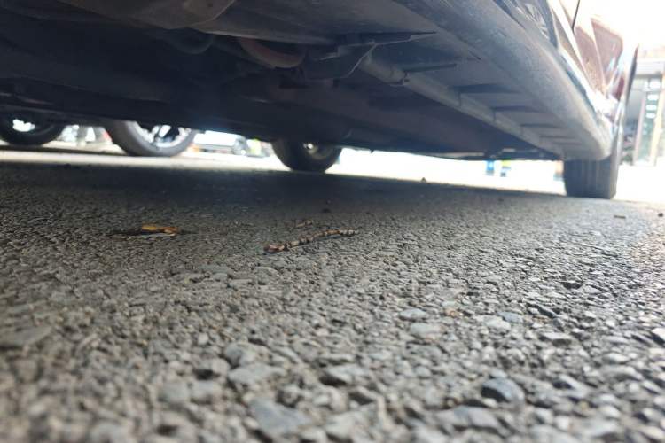 Used Suzuki Swift 2014 1.5L Automatic Fashion Edition Chassis Rear Right