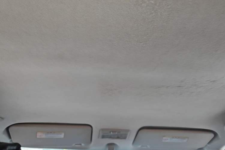 Used Suzuki Swift 2014 1.5L Automatic Fashion Edition Headliner