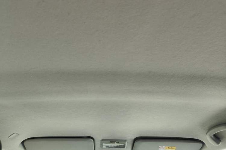Used Suzuki Swift 2014 1.5L Automatic Fashion Edition Headliner