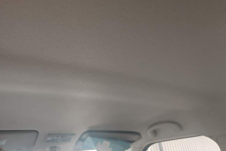 Used Suzuki Swift 2014 1.5L Automatic Fashion Edition Headliner