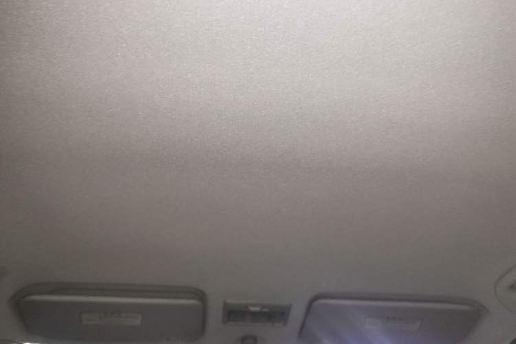 Used Suzuki Swift 2015 1.5L Automatic Limited Edition Headliner