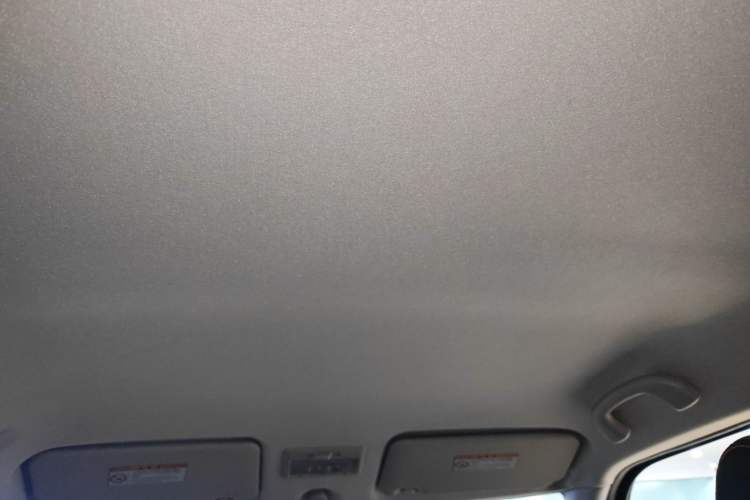 Used Suzuki Swift 2015 1.5L Manual Limited Edition Headliner