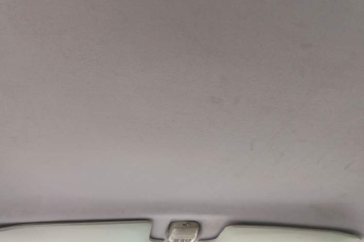Used Suzuki Wagon R 2010 e 1.4L Manual STD Standard Model Headliner