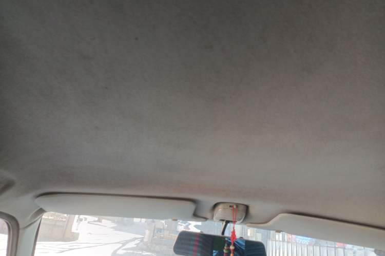 Used Suzuki Wagon R 2011 1.0L Headliner
