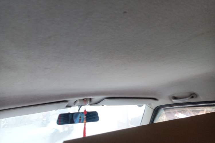 Used Suzuki Wagon R 2011 1.0L Headliner