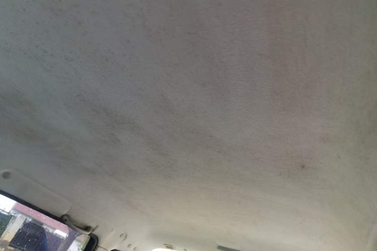 Used Suzuki Wagon R 2011 1.0L Headliner