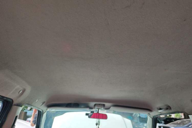 Used Suzuki Wagon R 2011 1.0L Headliner