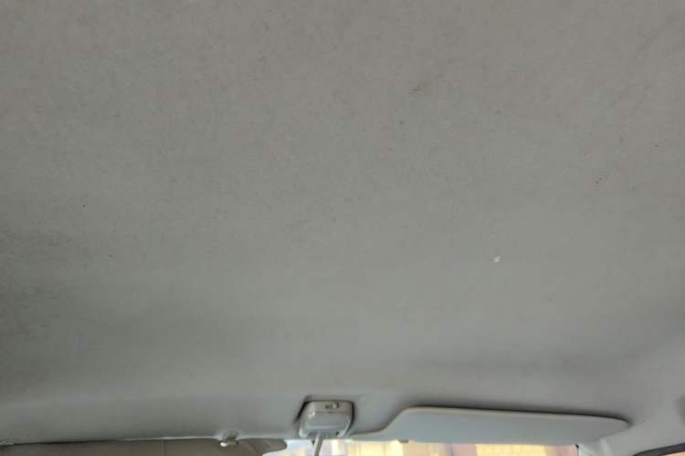 Used Suzuki Wagon R 2011 1.4L Manual Standard Type 1 Headliner