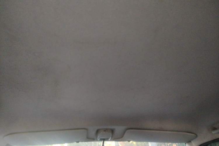 Used Suzuki Wagon R 2012 Entrepreneur Edition 1.0L Manual – Practical Version Headliner