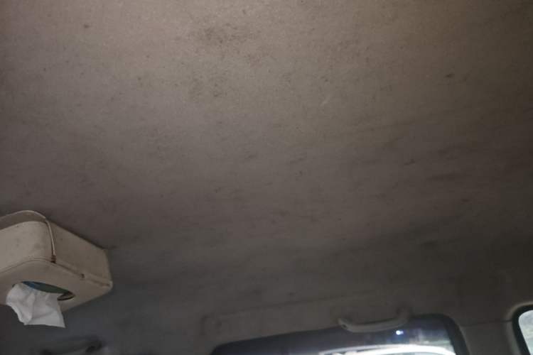 Used Suzuki Wagon R 2012 Entrepreneur Edition 1.0L Manual - Overdrive Type Headliner