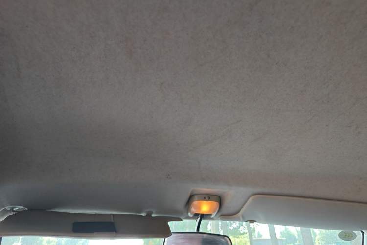 Used Suzuki Wagon R 2012 Entrepreneur Edition 1.0L Manual - Overdrive Type Headliner
