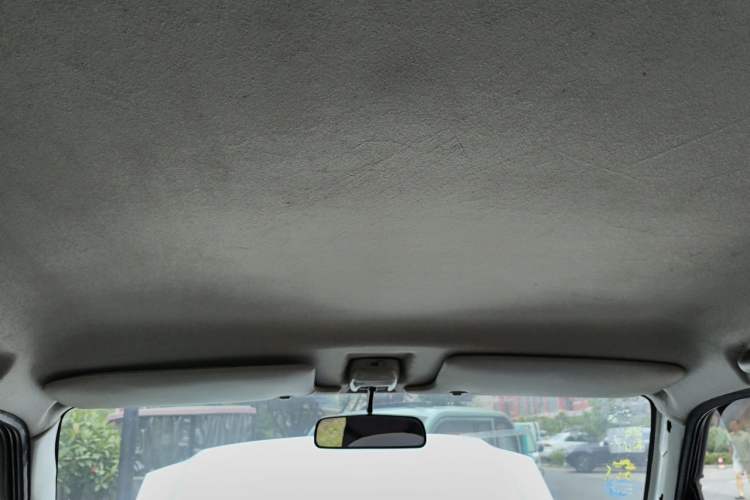 Used Suzuki Wagon R 2012 Entrepreneur Edition 1.0L Manual - Overdrive Type Headliner