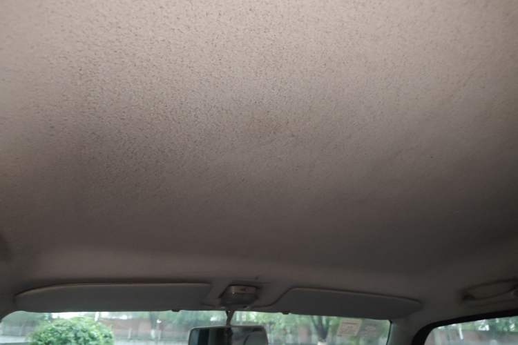 Used Suzuki Wagon R 2013 All-Around Edition 1.4L Manual Practical Model Headliner