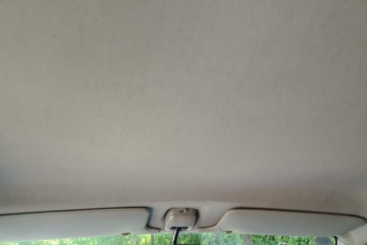 Used Suzuki Wagon R 2013 Venture Edition 1.0L Manual - Practical Model 3 Headliner