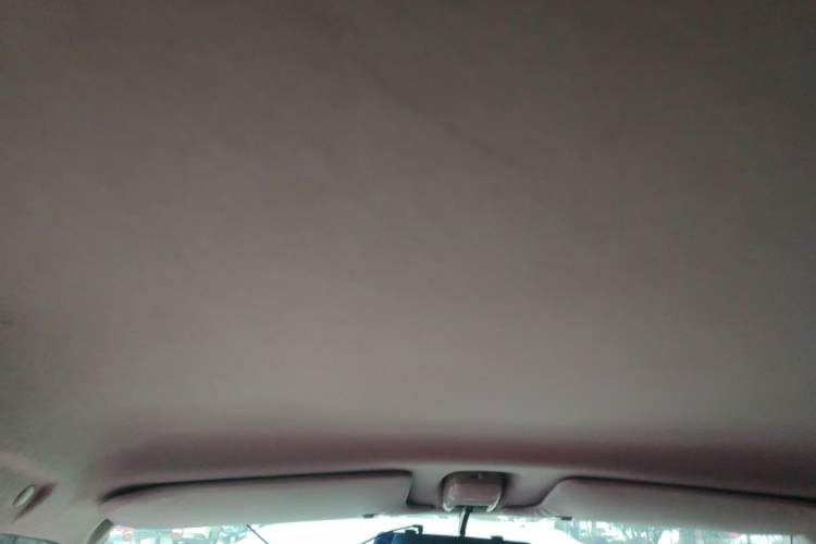 Used Suzuki Wagon R 2015 1.0L Manual Utility Model Headliner