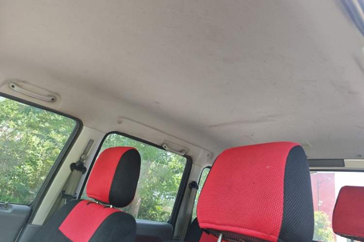 Used Suzuki Wagon R 2015 1.0L Manual Comfort Model Headliner
