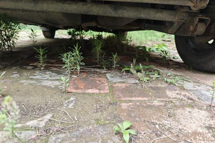 Used Suzuki Wagon R 2016 1.4L Manual Value Model Chassis Rear