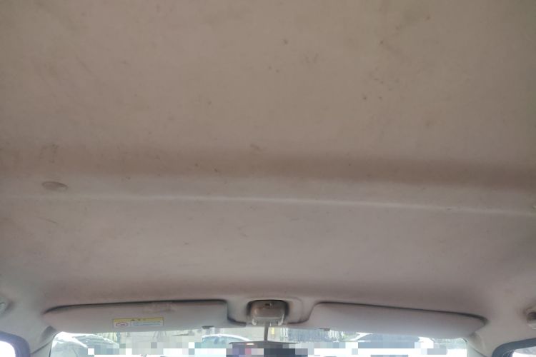 Used Suzuki Wagon R X5 2013 Revised Version 1.4L VVT Cruise Edition Headliner