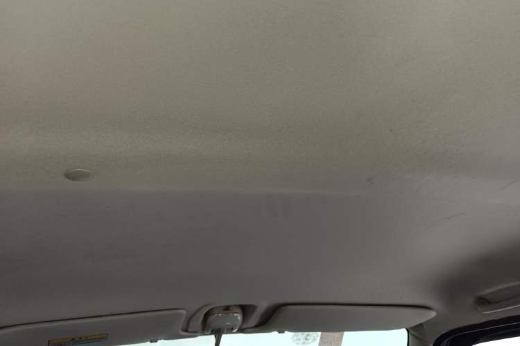 Used Suzuki Wagon R X5 2013 Revised Version 1.4L VVT Cruise Edition Headliner