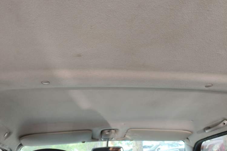 Used Suzuki Wagon R X5 2013 Revised Version 1.4L VVT Cruise Edition Headliner