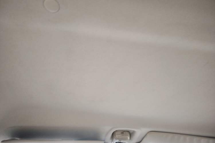 Used Suzuki Wagon R X5 2013 Revised Version 1.4L VVT Cruise Edition Headliner