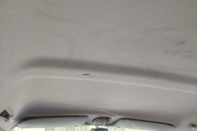 Used Suzuki Wagon R X5 2013 Revised Version 1.4L VVT Cruise Edition Headliner