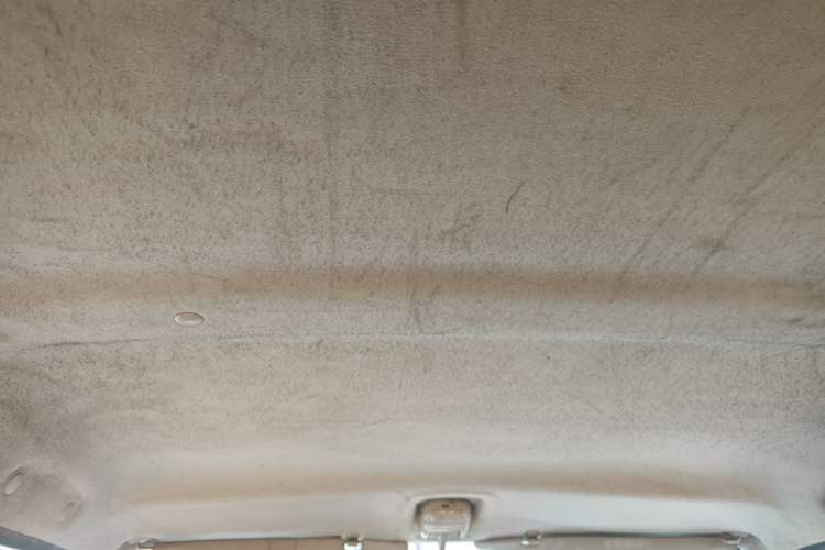 Used Suzuki Wagon R X5 2013 Revised Version 1.4L VVT Cruise Edition Headliner