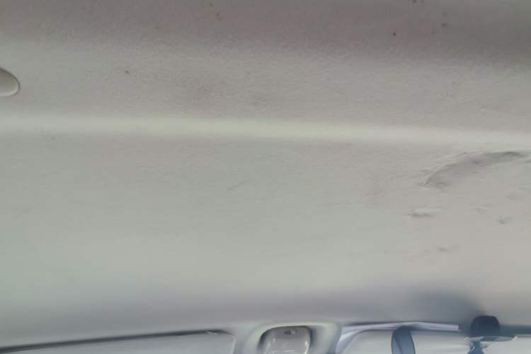 Used Suzuki Wagon R X5 2013 Cruise Edition 1.4L VVT Standard Model Headliner