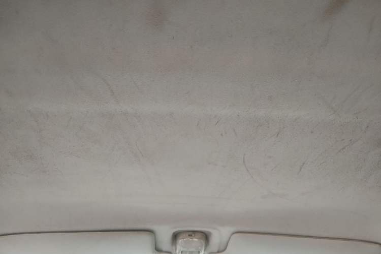 Used Suzuki Wagon R X5 2013 Cruise Edition 1.4L VVT Standard Model Headliner