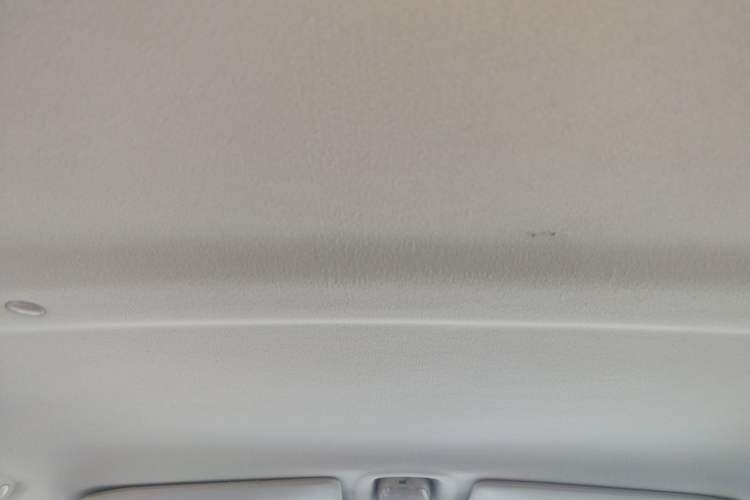 Used Suzuki Wagon R X5 2013 Revised Version 1.4L VVT Cruise Edition Headliner
