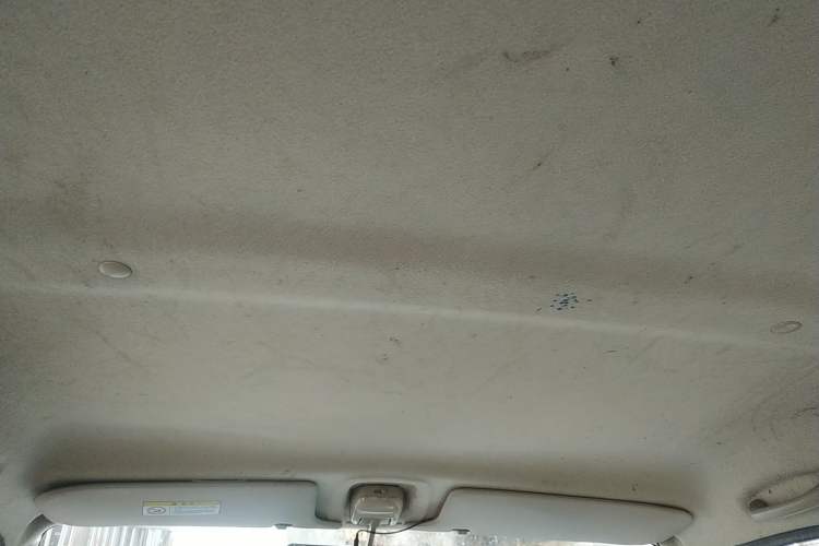 Used Suzuki Wagon R X5 2013 Revised Version 1.4L VVT Cruise Edition Headliner