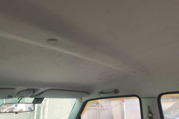 Used Suzuki Wagon R X5 2013 Cruise Edition 1.4L VVT Standard Model Headliner