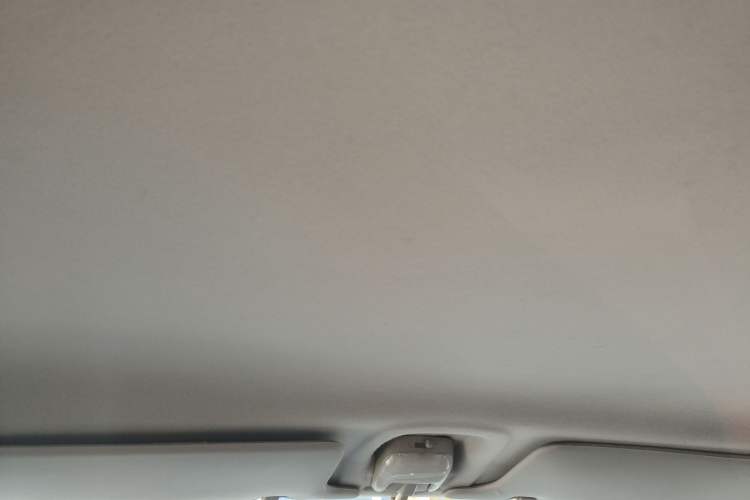 Used Suzuki Wagon R X5 2013 Cruise Edition 1.4L VVT Standard Model Headliner