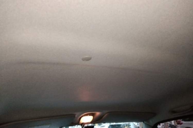 Used Suzuki Wagon R X5 2013 Revised Version 1.4L VVT Cruise Edition Headliner