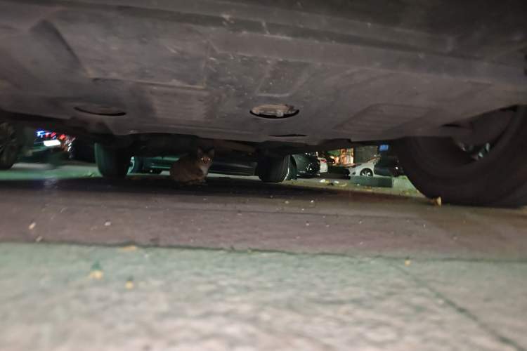 Used SWM G01 2018 1.5T Automatic Smart UP Chassis Front