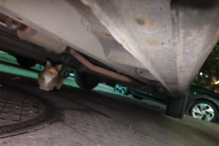 Used SWM G01 2018 1.5T Automatic Smart UP Chassis Front Left