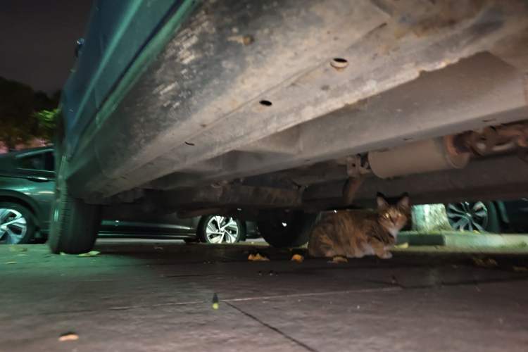 Used SWM G01 2018 1.5T Automatic Smart UP Chassis Front Right