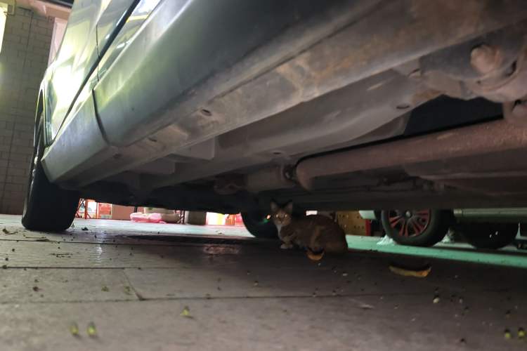 Used SWM G01 2018 1.5T Automatic Smart UP Chassis Rear Left
