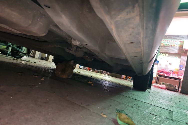 Used SWM G01 2018 1.5T Automatic Smart UP Chassis Rear Right