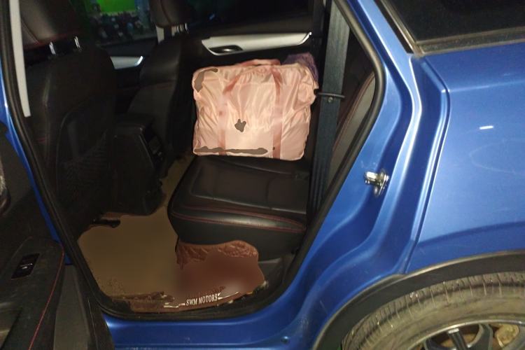 Used SWM G01 2018 1.5T Automatic Smart UP Left Rear Seat