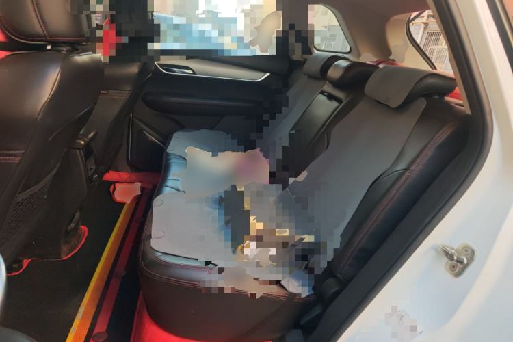 Used SWM G01 2018 1.5T Manual Smart UP Left Rear Seat